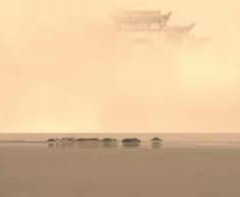 难得一见的“海市蜃楼”