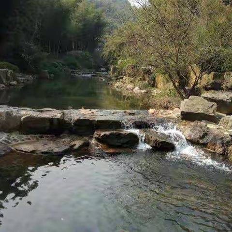 明月装饰了你的窗户，你也成了别人的风景。