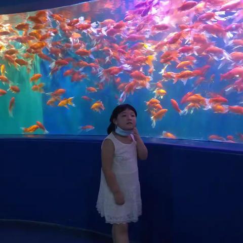 一四班樊湉甜暑假生活