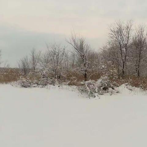 入冬以来，烟台的第六场雪