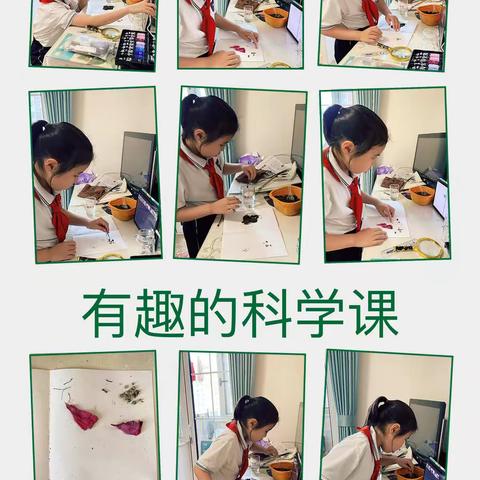 德智体美劳  居家也精彩