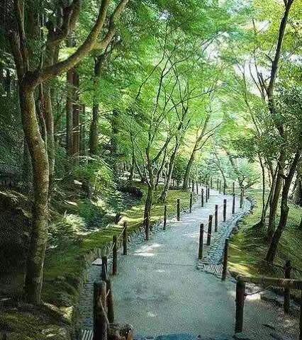 漫漫家访路，浓浓师生情