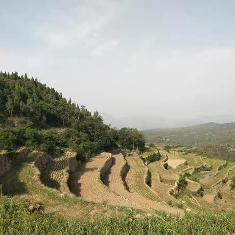 温情传递，家校共融