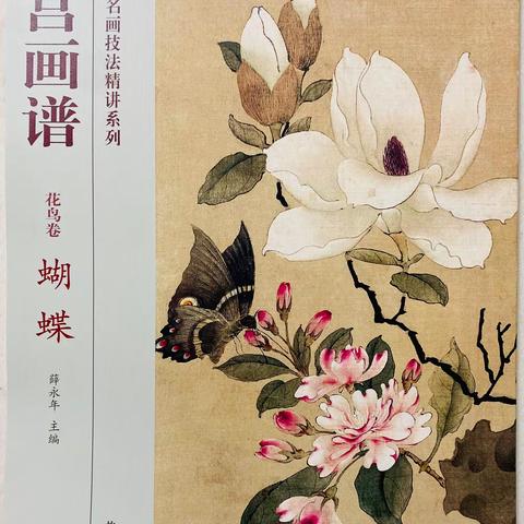 故宫画谱之蝴蝶画法