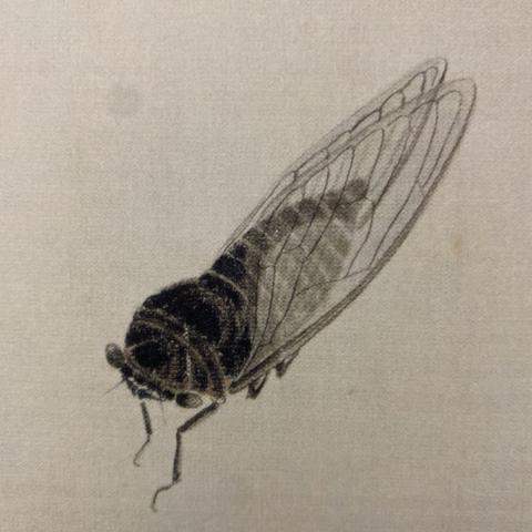 齐白石草虫其二