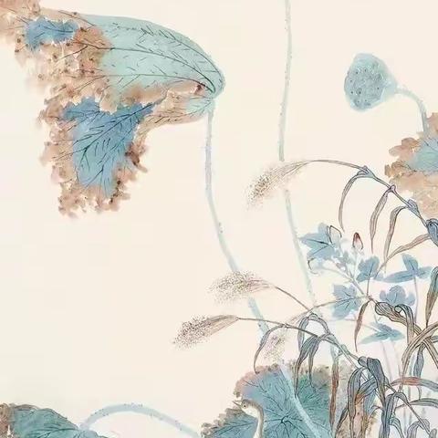 各类画册及拍卖图册收集荷花样图下