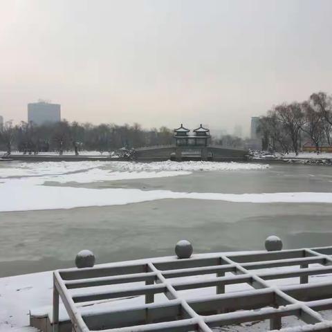 春日雪花飘飘洒洒 千般妩媚万种风情 纯静淡雅洁白晶莹 白了世界静了龙潭20170221~全…（副本）