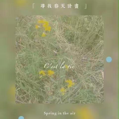 麻城博达学校摄影作品展3