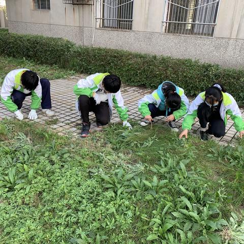 秦汉新城窑店中学组织开展劳动教育活动