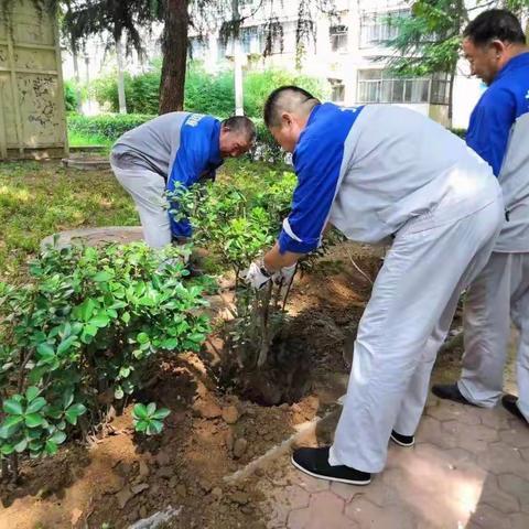 西里街道上安电厂社区净化绿化社区环境 助力卫生城市创建