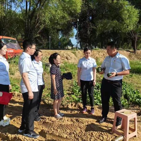 榆林分行营业部党支部观摩学习​榆阳区什拉滩村从“能源村”向“生态村”转型发展