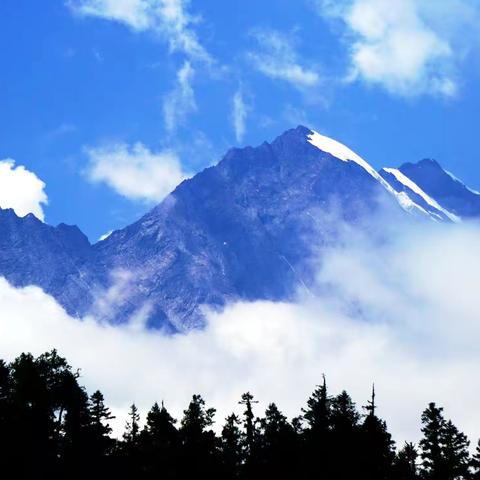 图集【雪山下的清凉】2019.8