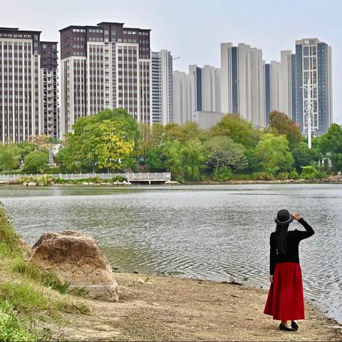 我的城市