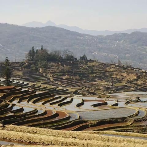 田园和朝霞与日落