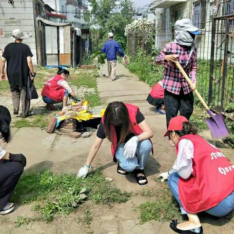 永安台街道开展家文化节环境卫生整治活动