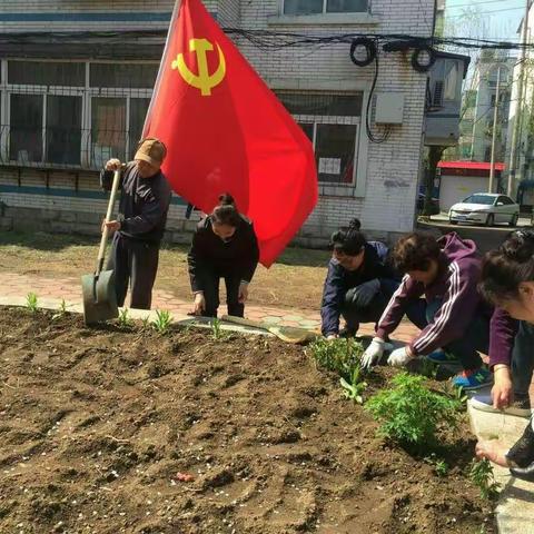 党员志愿者为弃管小区翻地种花 美化环境