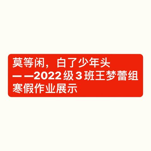 莫等闲，白了少年头— —2022级3班王梦蕾组寒假作业展示