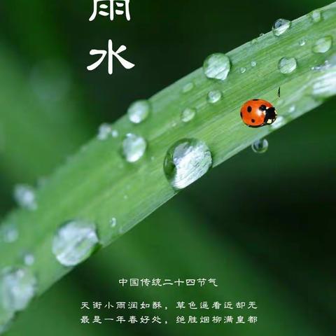 雨水节"青青蒜苗”美食分享