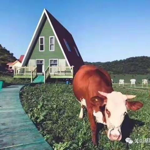 【古尔邦节去避暑喽！！不去不知道，一去终身都难忘】龙门洞、醉美关山牧场、西府老街、红河谷汽车3日