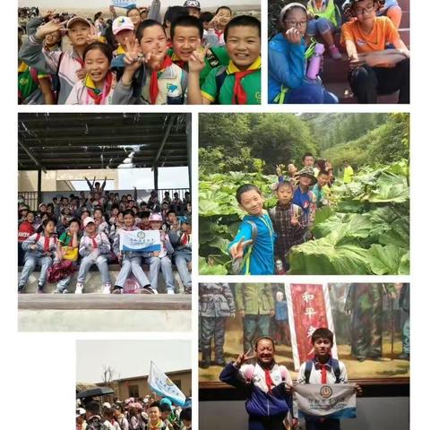 最新夏令营团期价格计划