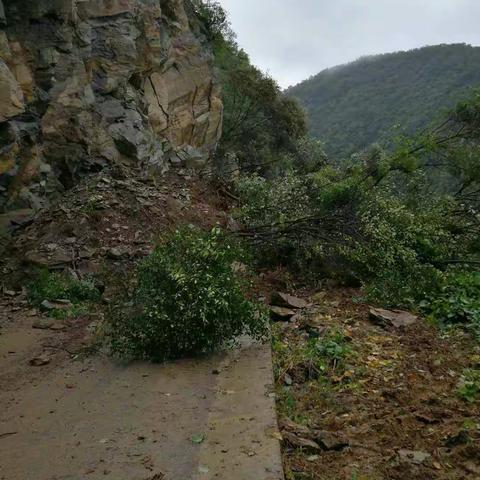 身为道路工作者，为老百姓时刻保暢道路畅通！即便雨水无情，任坚持不懈！