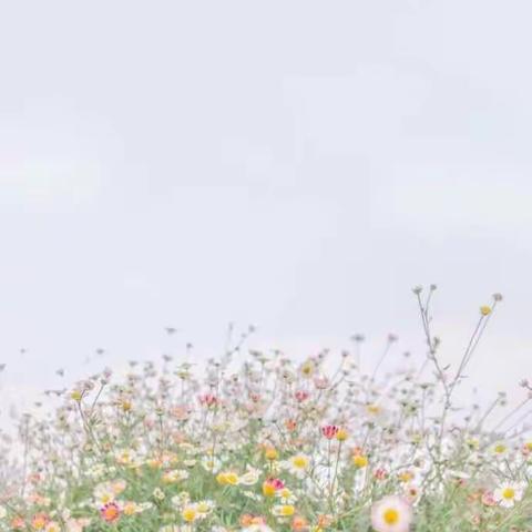 新起点   新征程2018—2019第二学期工作总结