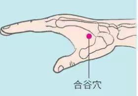8、揉合谷丨视频演示张派儿推常用穴位手法