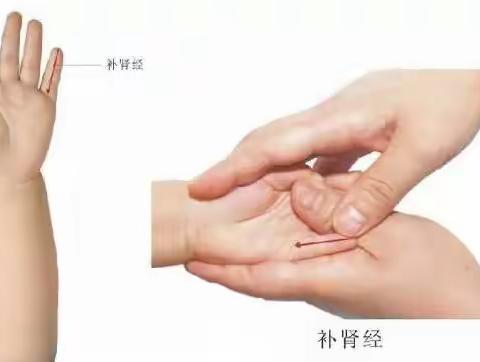 3、推补肾水丨视频演示张派儿推常用穴位手法