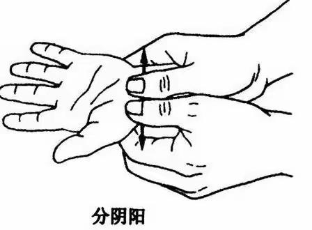 10、分阴阳丨视频演示张派儿推常用穴位手法
