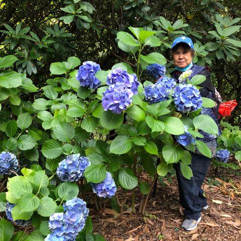 Dandenong Ranges Botantic garden6/2/21