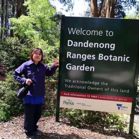 Dandenong Botantic Garden 23-11-2019