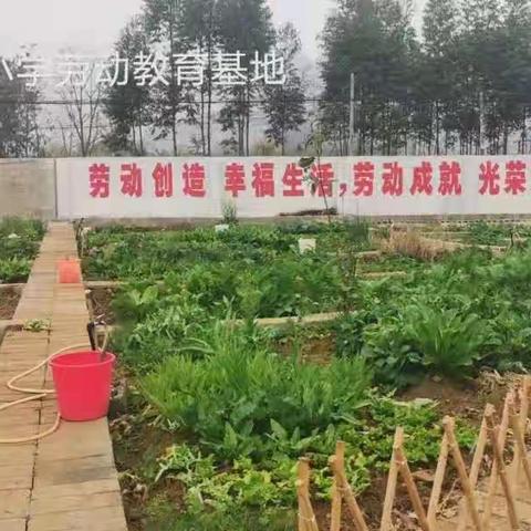 我劳动快乐——樟木镇元金小学学生劳动的快乐时光