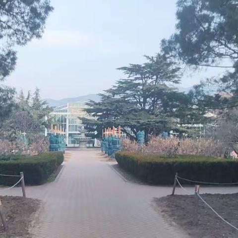 南植温室暖如夏不如摄友火样情