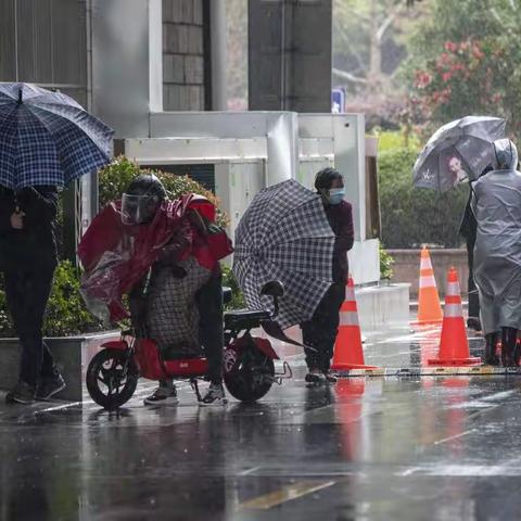 风雨行