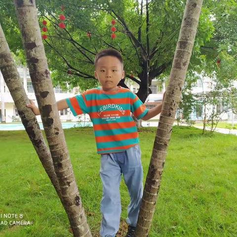 五联幼儿园大二班伍志洋的相册