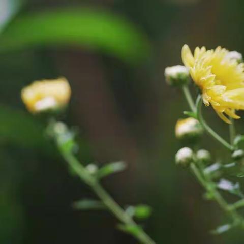 雨后