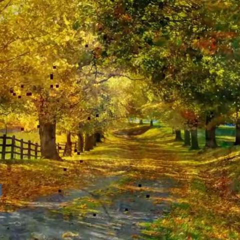 22-9-29以参赛选手参加了干休所组织的钓鱼比赛