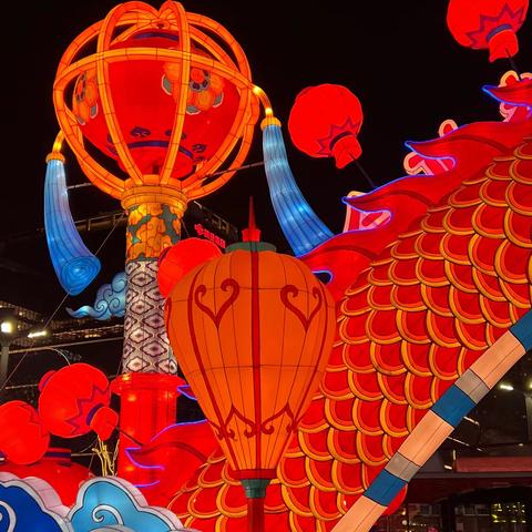 蔷薇岛屿的美篇