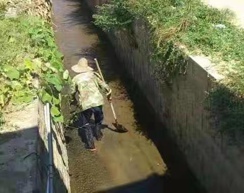 赵桅社区开展“清理河道垃圾 改善环境卫生”活动