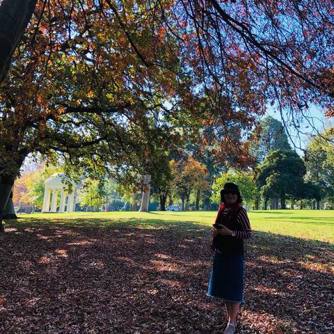 墨尔本秋天的落叶🍂（二）