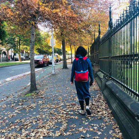 墨尔本秋天的落叶🍂落叶🍃（一）