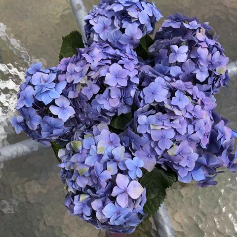 涓涓流水的美篇