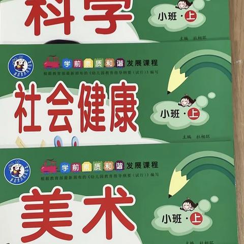 幼儿班 5大领域教材书 小 、中、大班 幼儿园教育指导纲要，指的是健康、语言、社会、科学、艺术等五个领域。