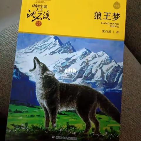 ［领读人计划 ］好书推荐一一双清区华竹小学153班邓文博
