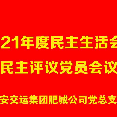 肥城公司党总支召开组织生活会和民主评议党员会议