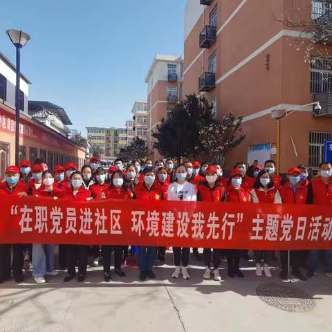 高陵区教育系统开展“在职党员进社区  环境建设我先行”主题党日活动