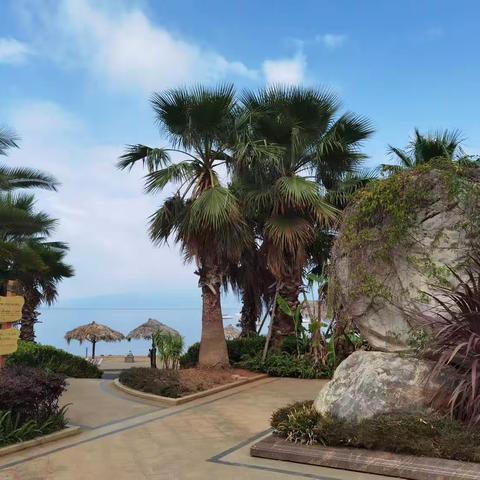 莫道桑榆晚 为霞尚满天