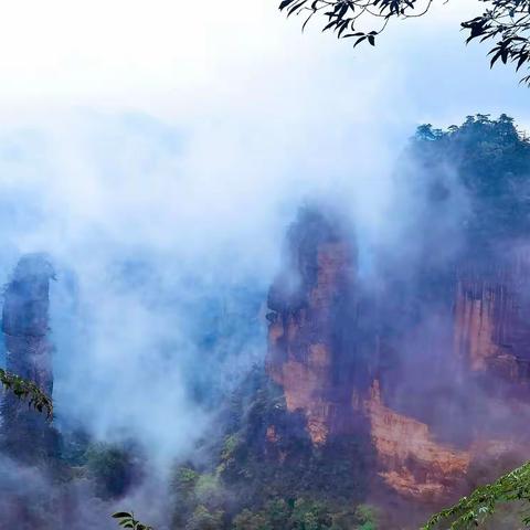 轻呼碧绿青林气 深吸翠香秀水生