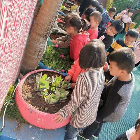 植树节活动