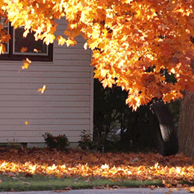 孩子“秋冻”有讲究，很多家长不知道！